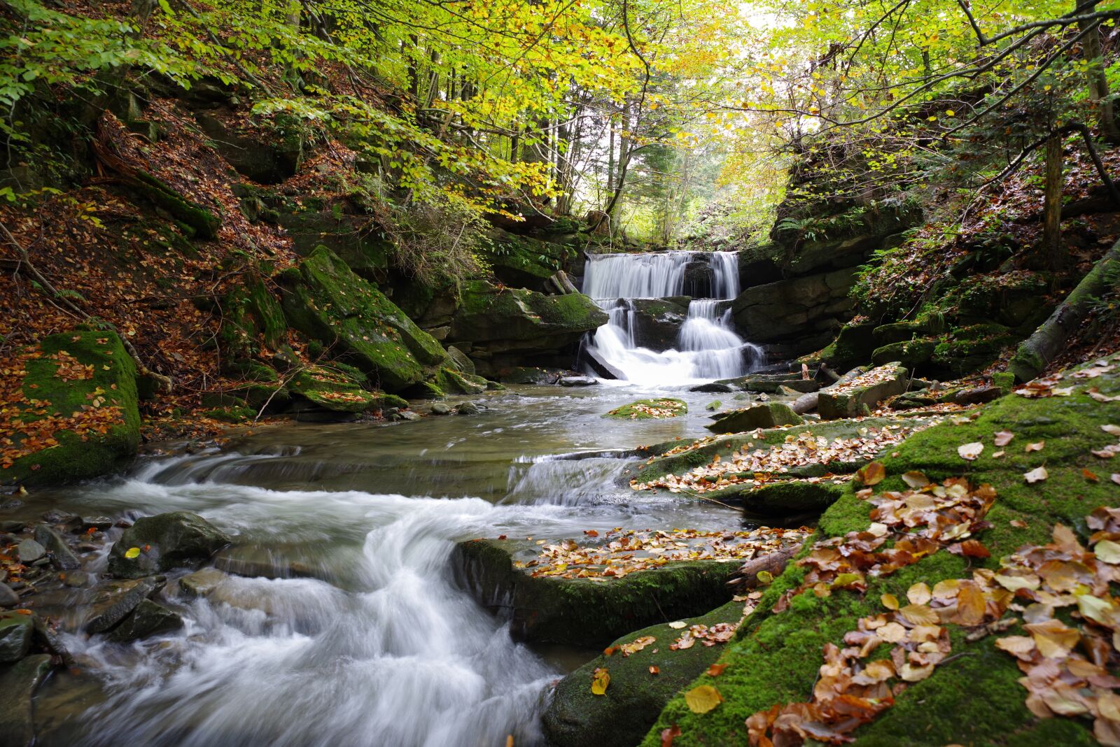 Pentax K-1 sample photo. Bieszczady, poland, nature photography