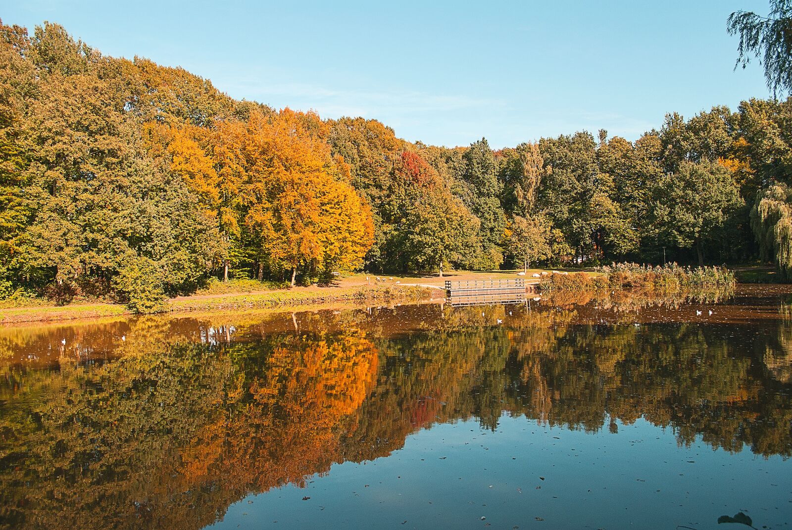 Nikon D3000 sample photo. Landscape, nature, reflection photography