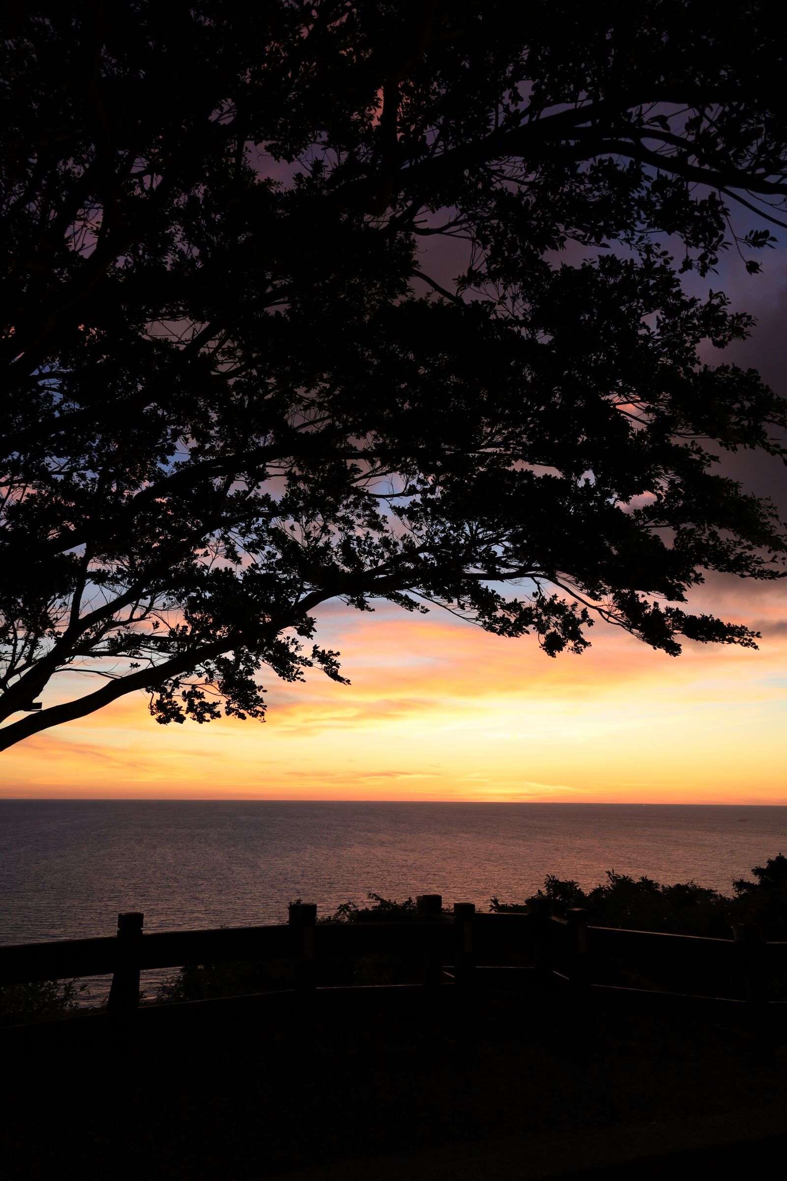 Canon EOS RP sample photo. Sunset, tree, ocean photography