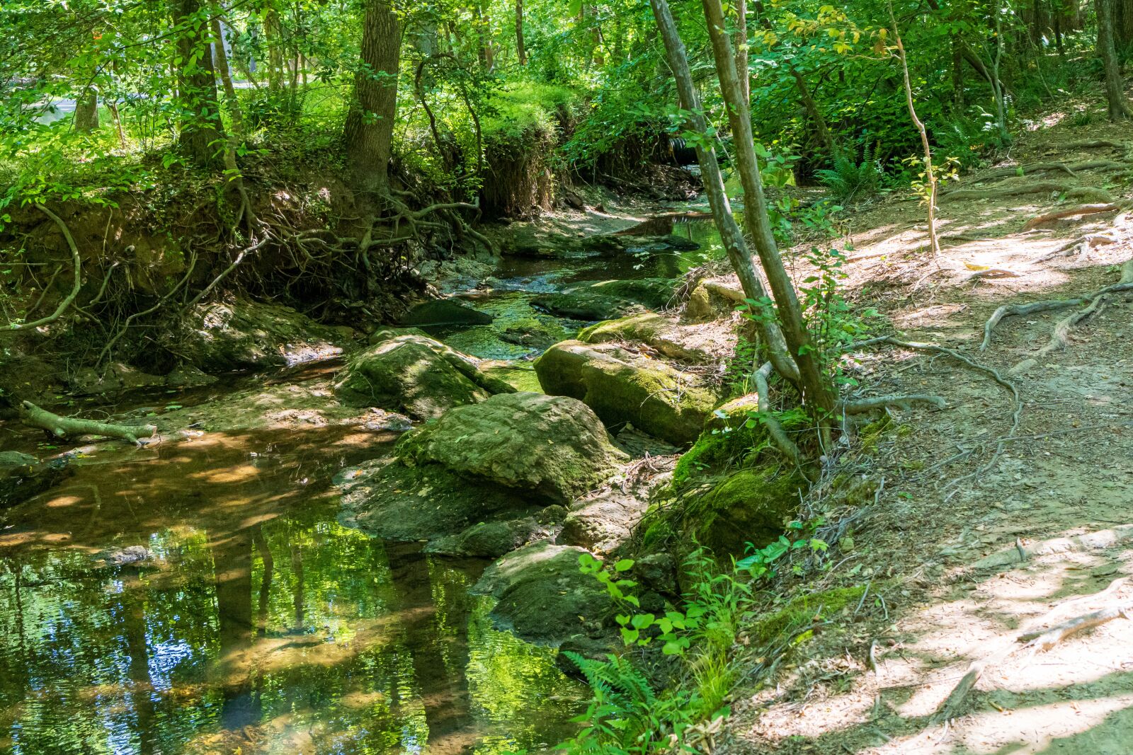Sony E 35mm F1.8 OSS sample photo. Creek path, stream path photography