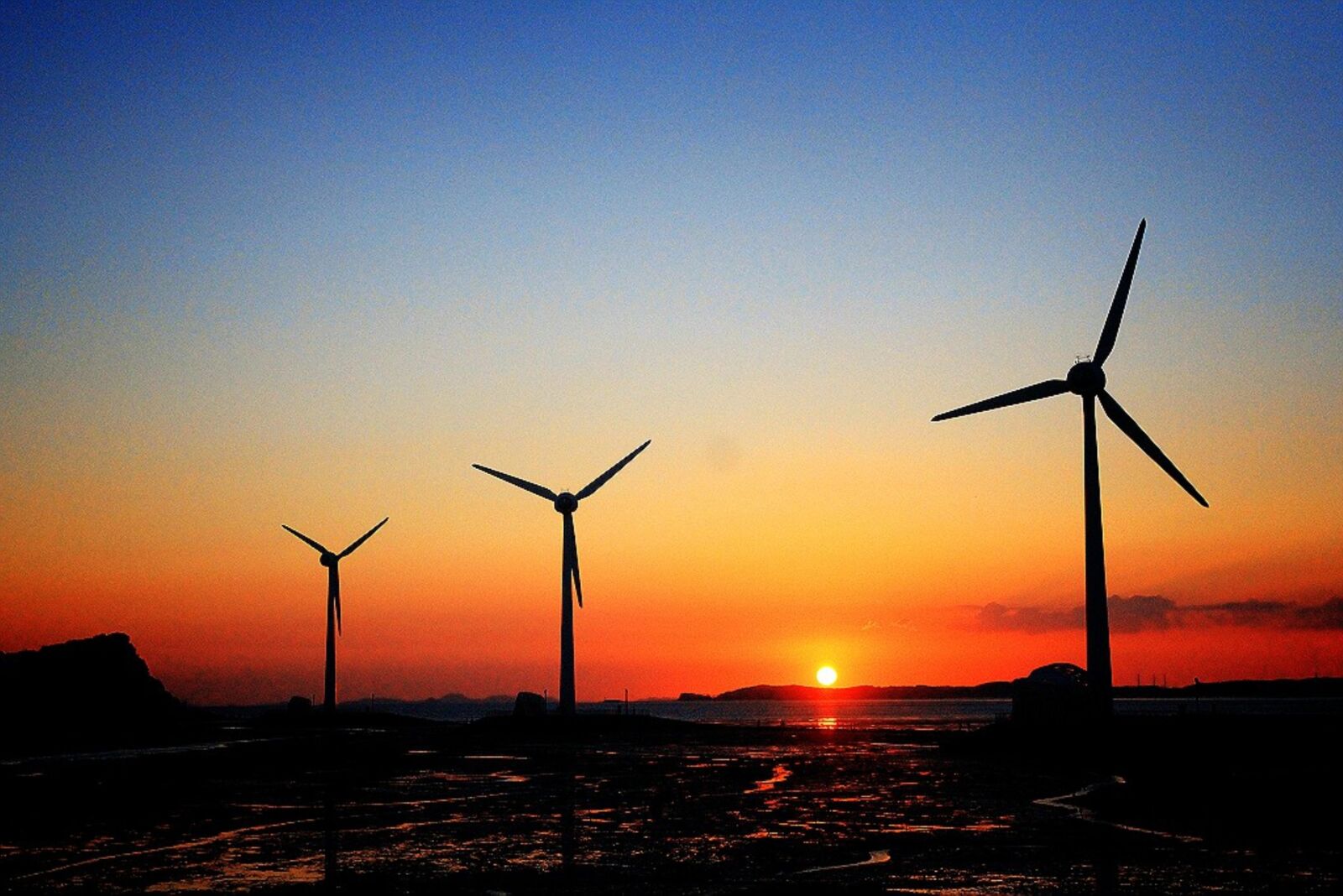 Canon EOS 60D sample photo. Camel joe, wind power photography
