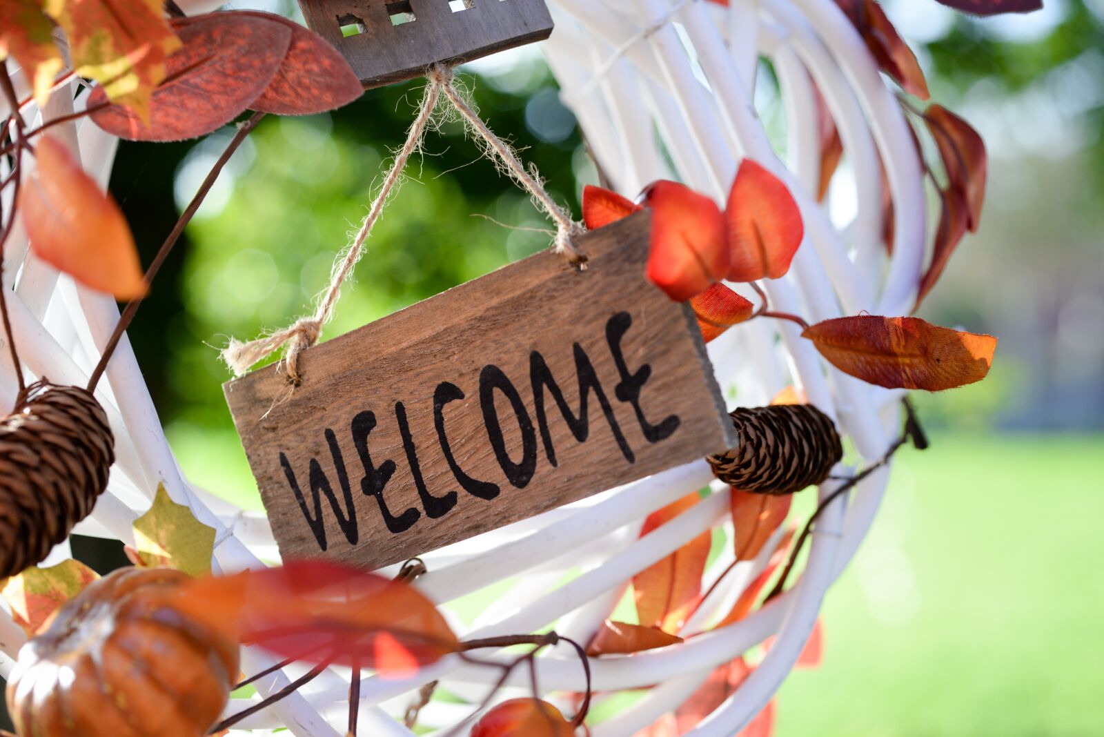 Nikon D610 sample photo. Welcome, tag, decoration photography