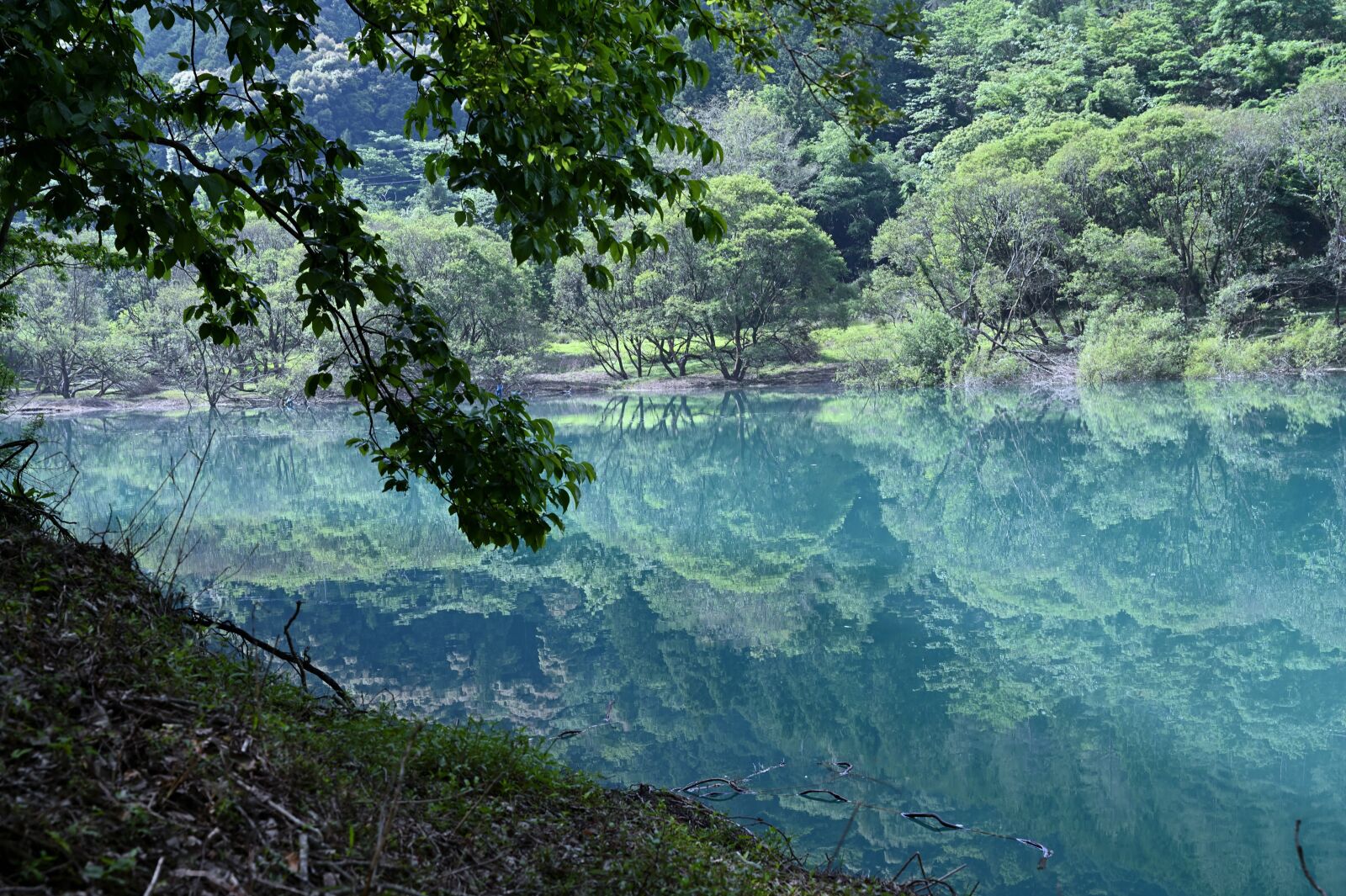Nikon Z6 + Nikon Nikkor Z 24-70mm F4 S sample photo. Lake, reflection, natural photography