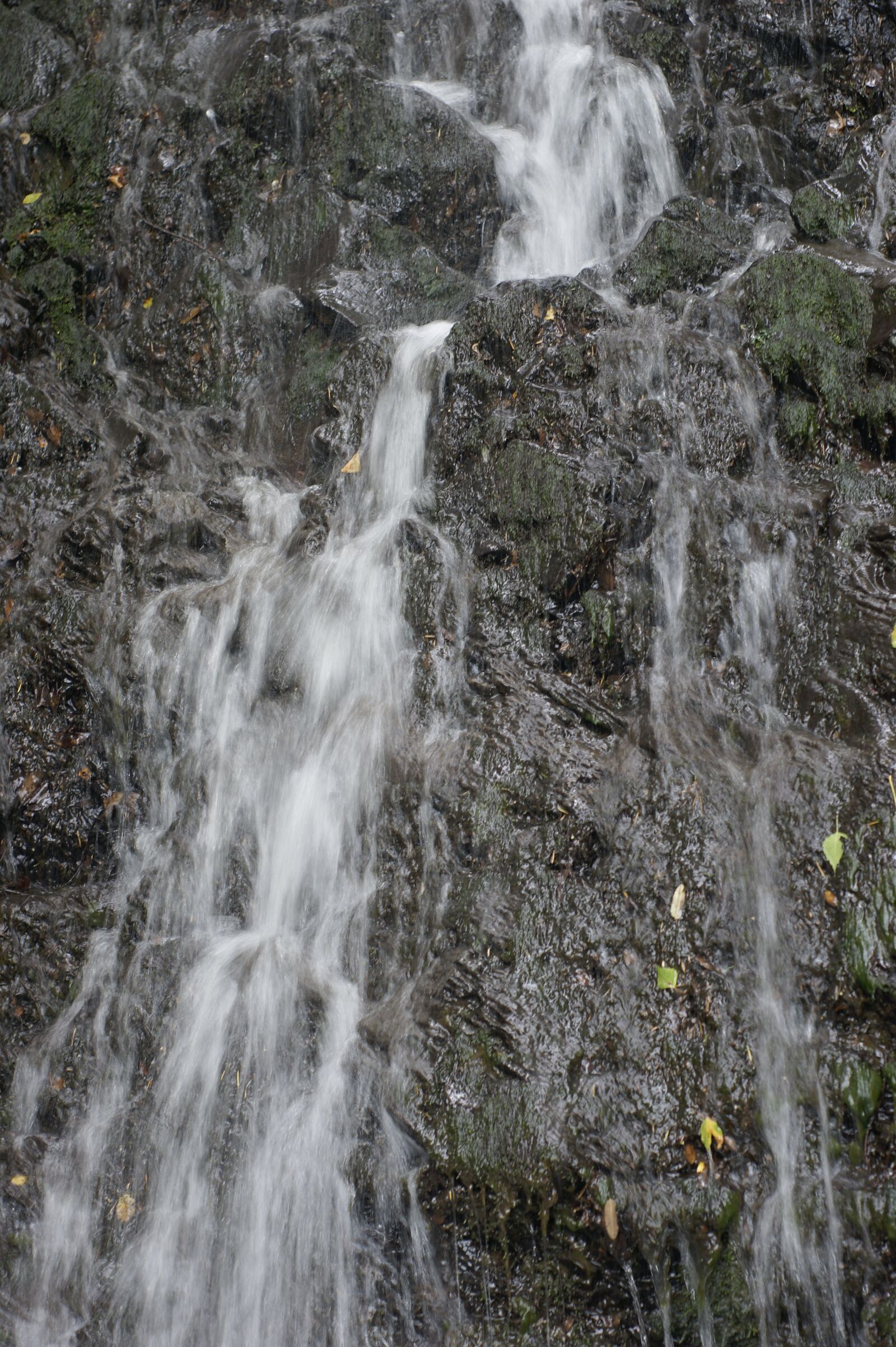 Sony Alpha DSLR-A290 sample photo. Waterfall, sources, source of photography