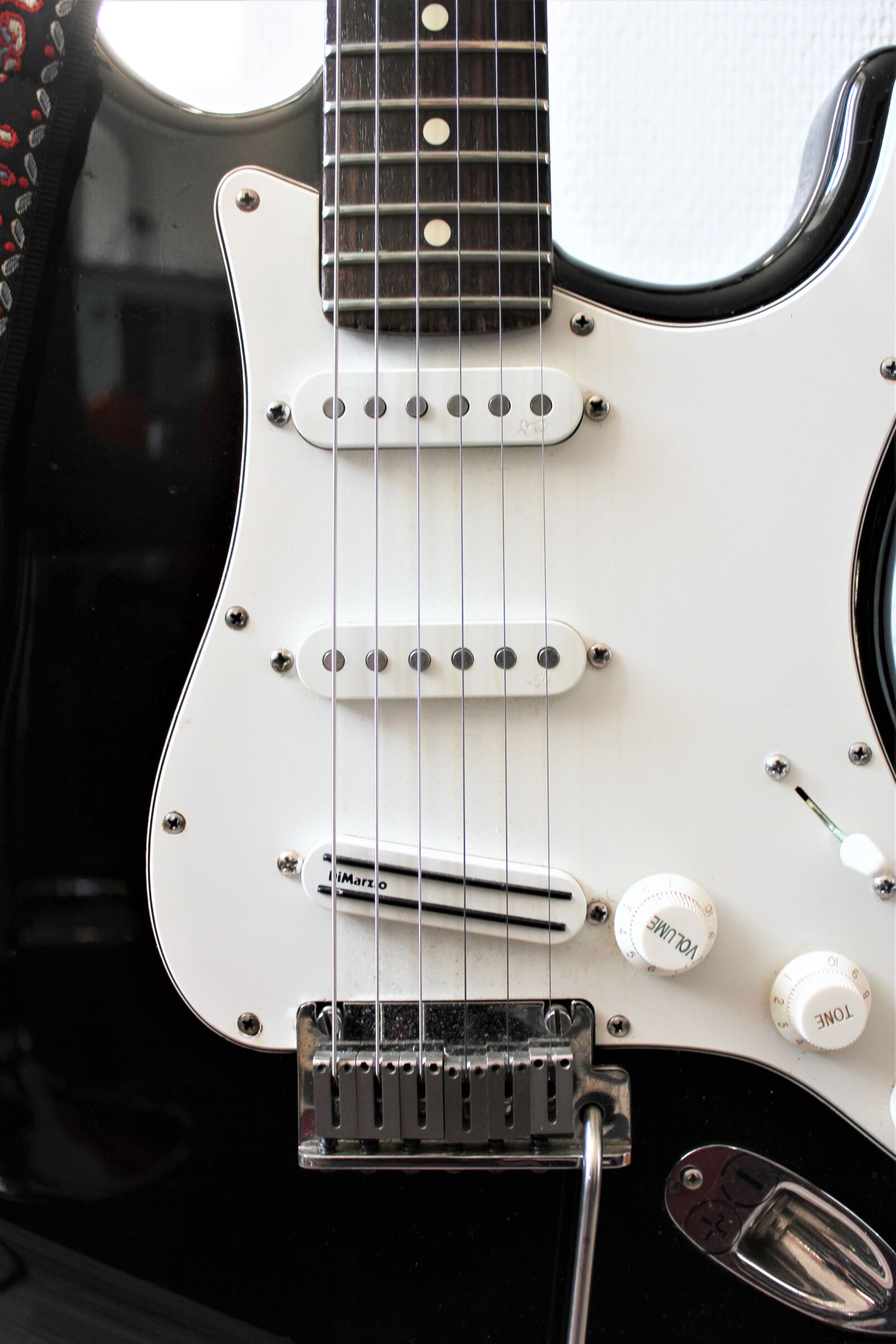 Canon EOS 550D (EOS Rebel T2i / EOS Kiss X4) sample photo. Fender, stratocaster, american photography