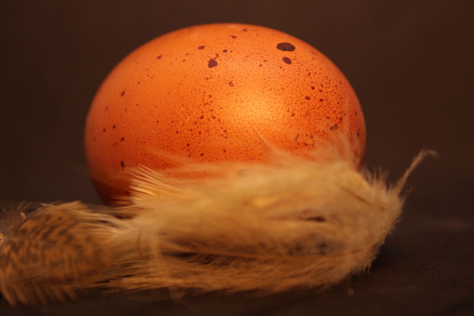Canon EOS 700D (EOS Rebel T5i / EOS Kiss X7i) sample photo. Egg, brown, food photography