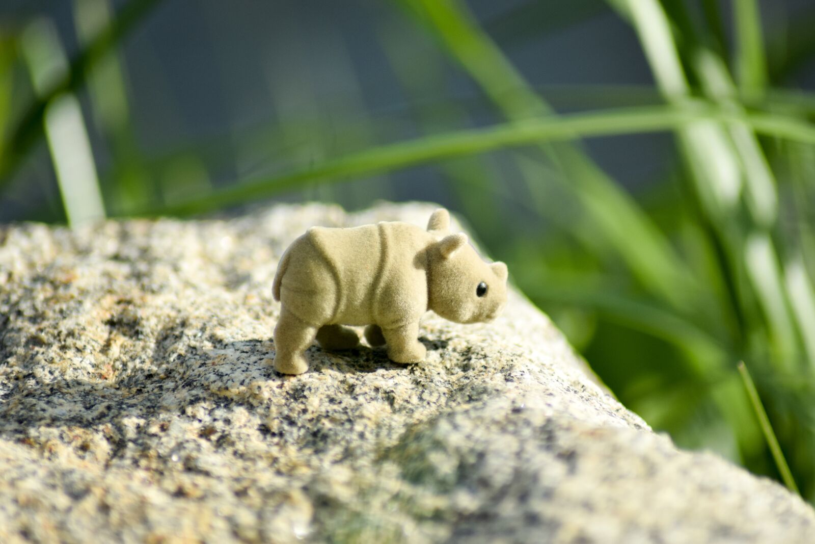 Nikon D5300 sample photo. Rhinoceros, wild animal, rhino photography