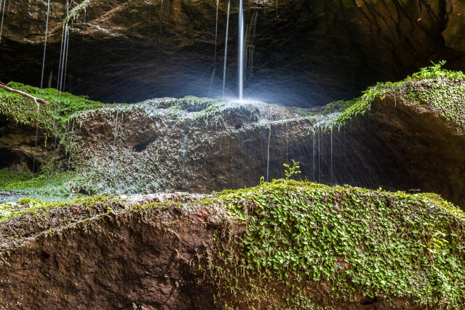 Canon EOS 70D + Canon EF 50mm F1.8 STM sample photo. Water, water splashes, drop photography