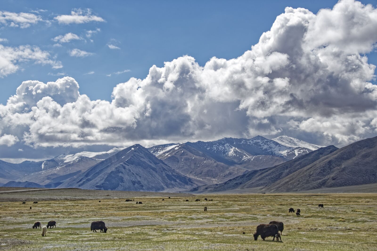 Nikon D500 sample photo. Tajikistan, mountain-badakhshan, pasture photography