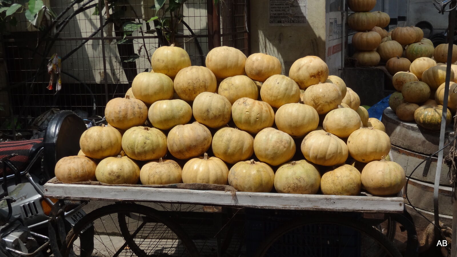 Sony Cyber-shot DSC-HX9V sample photo. Pumpkins, in, container photography