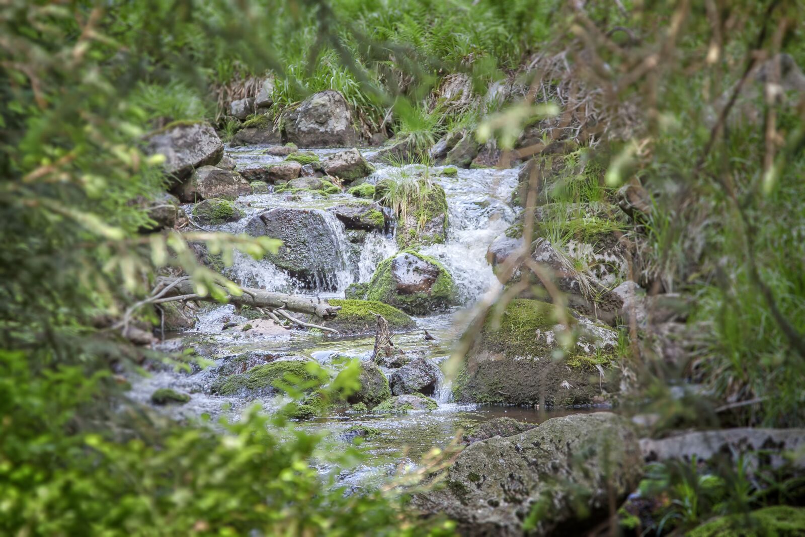 Canon EOS 50D sample photo. River, waterfall, bach photography