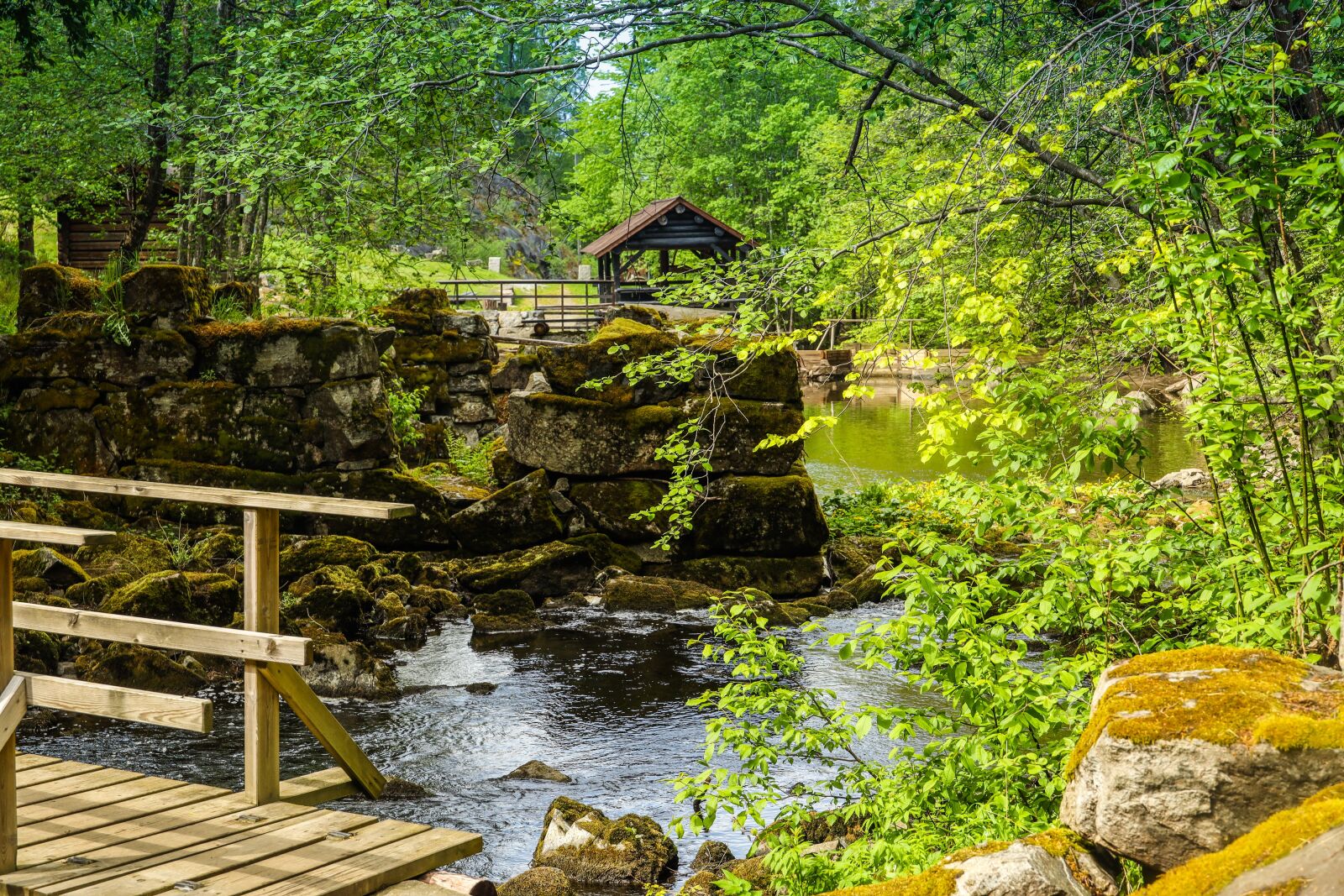 Canon EOS R sample photo. River, water, forest photography