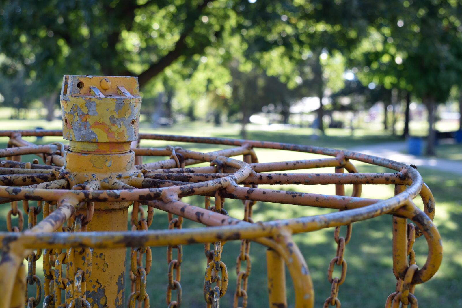 Nikon D3300 sample photo. Disc, golf photography