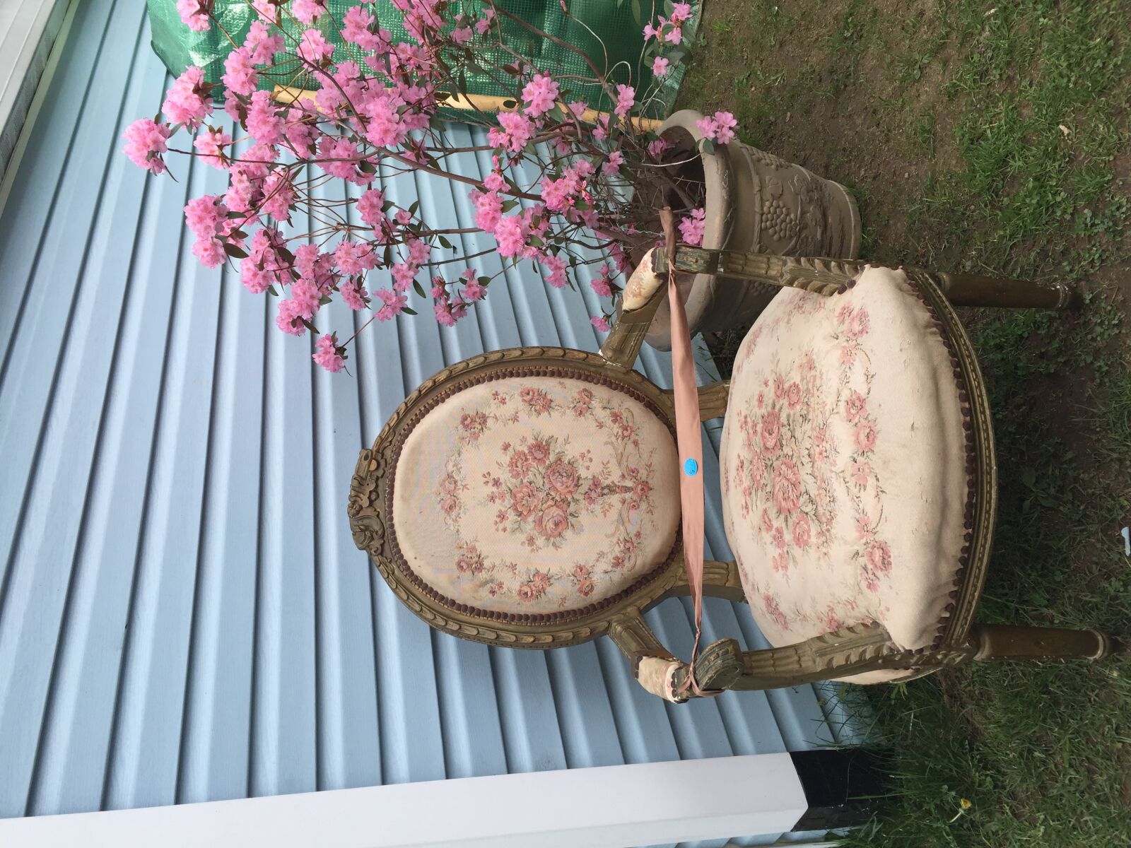 Apple iPhone 6 sample photo. Yard, sale photography