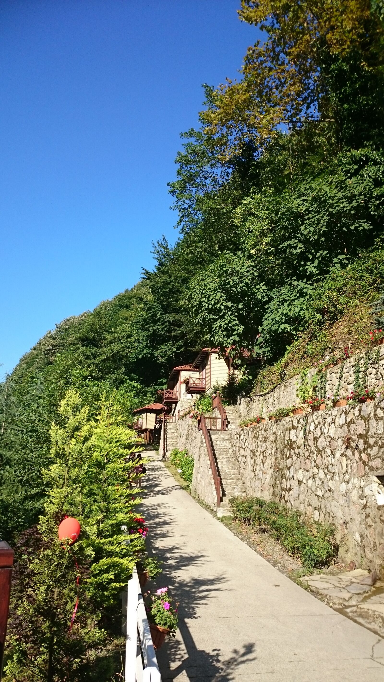 Sony Xperia Z1 sample photo. Nature, summer houses in photography
