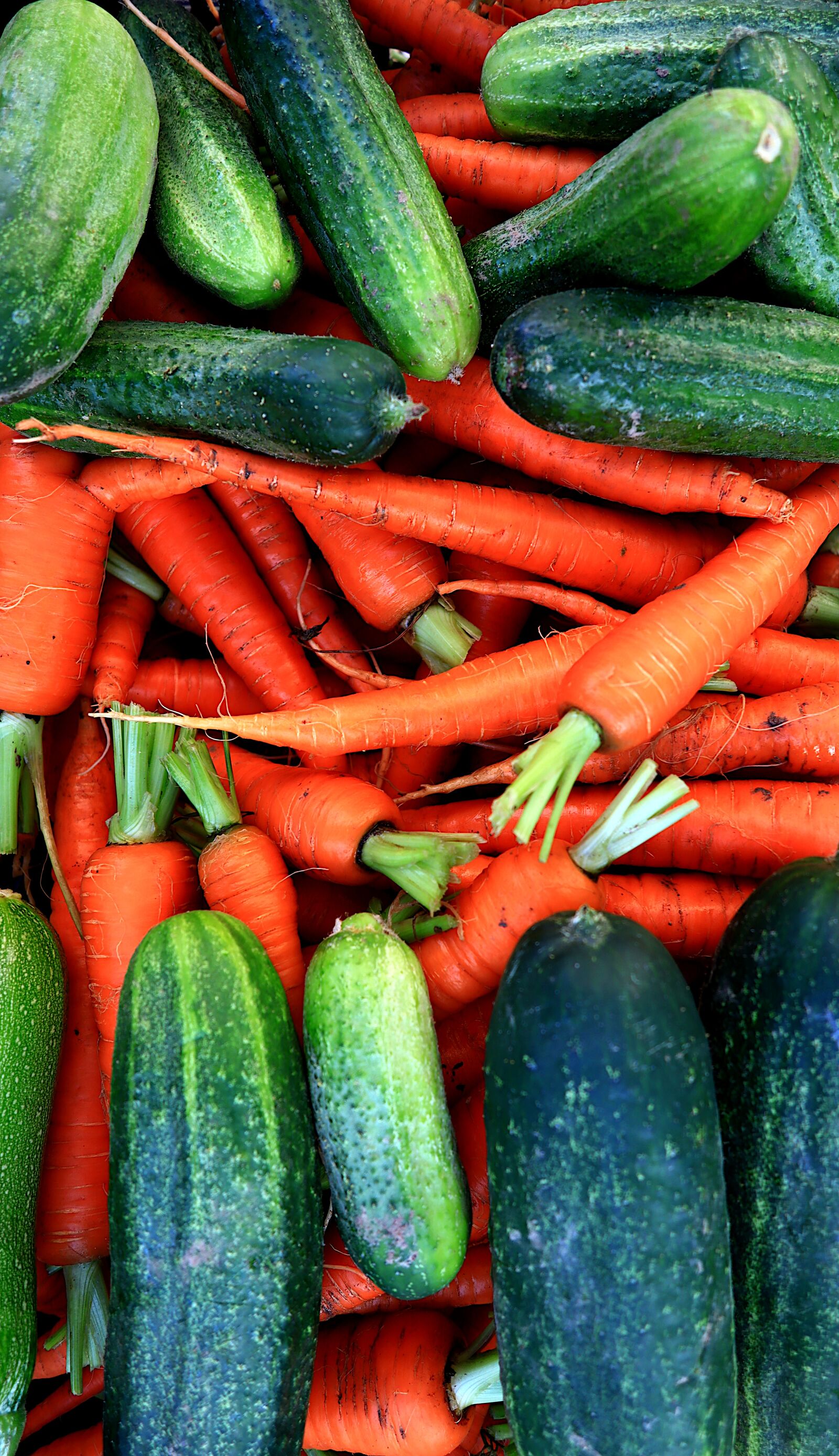 Canon PowerShot G1 X Mark III sample photo. Vegetables, cucumbers, zucchini photography