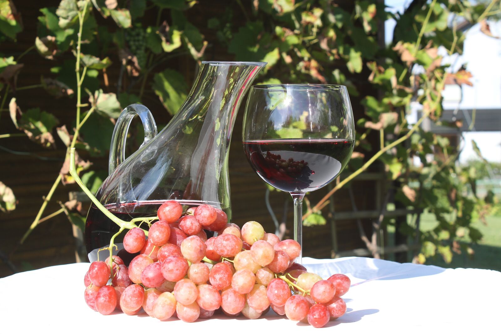 Canon EOS 50D sample photo. Fruit, wine, grapes photography
