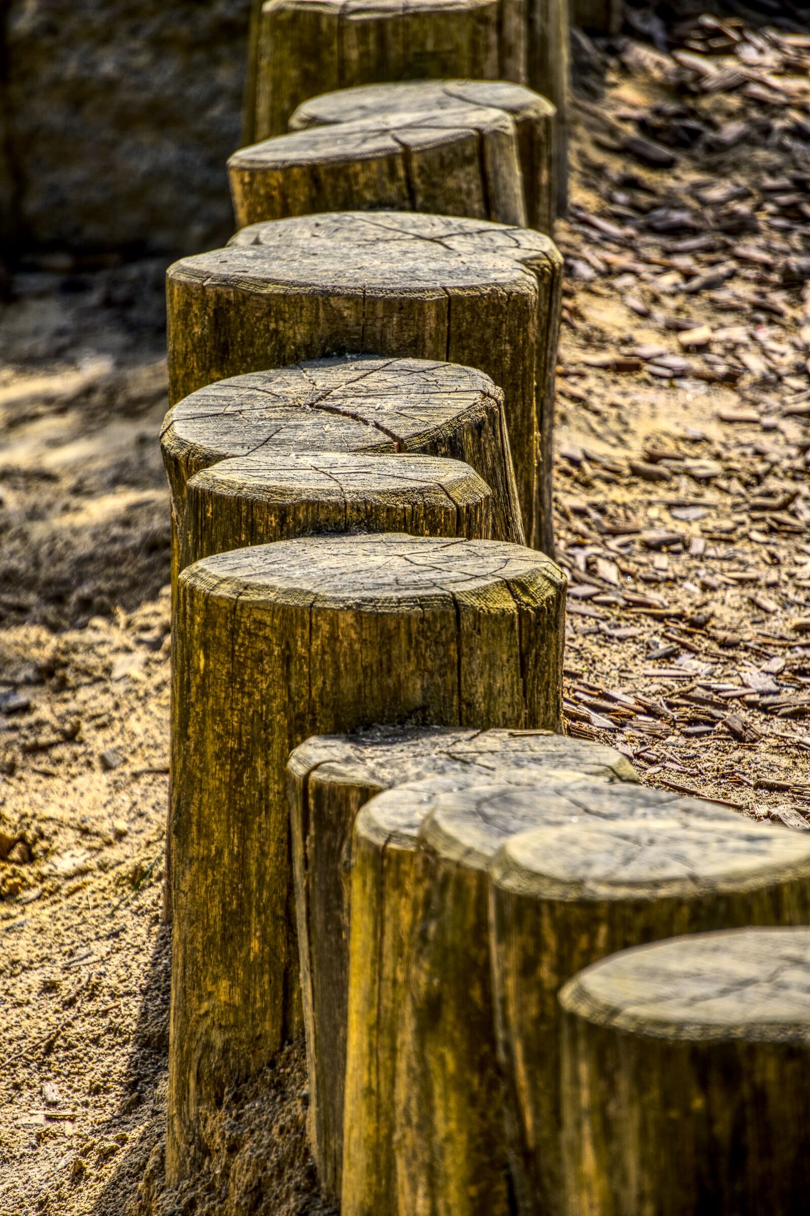 Sony a6000 sample photo. Wood trunks, post, limit photography