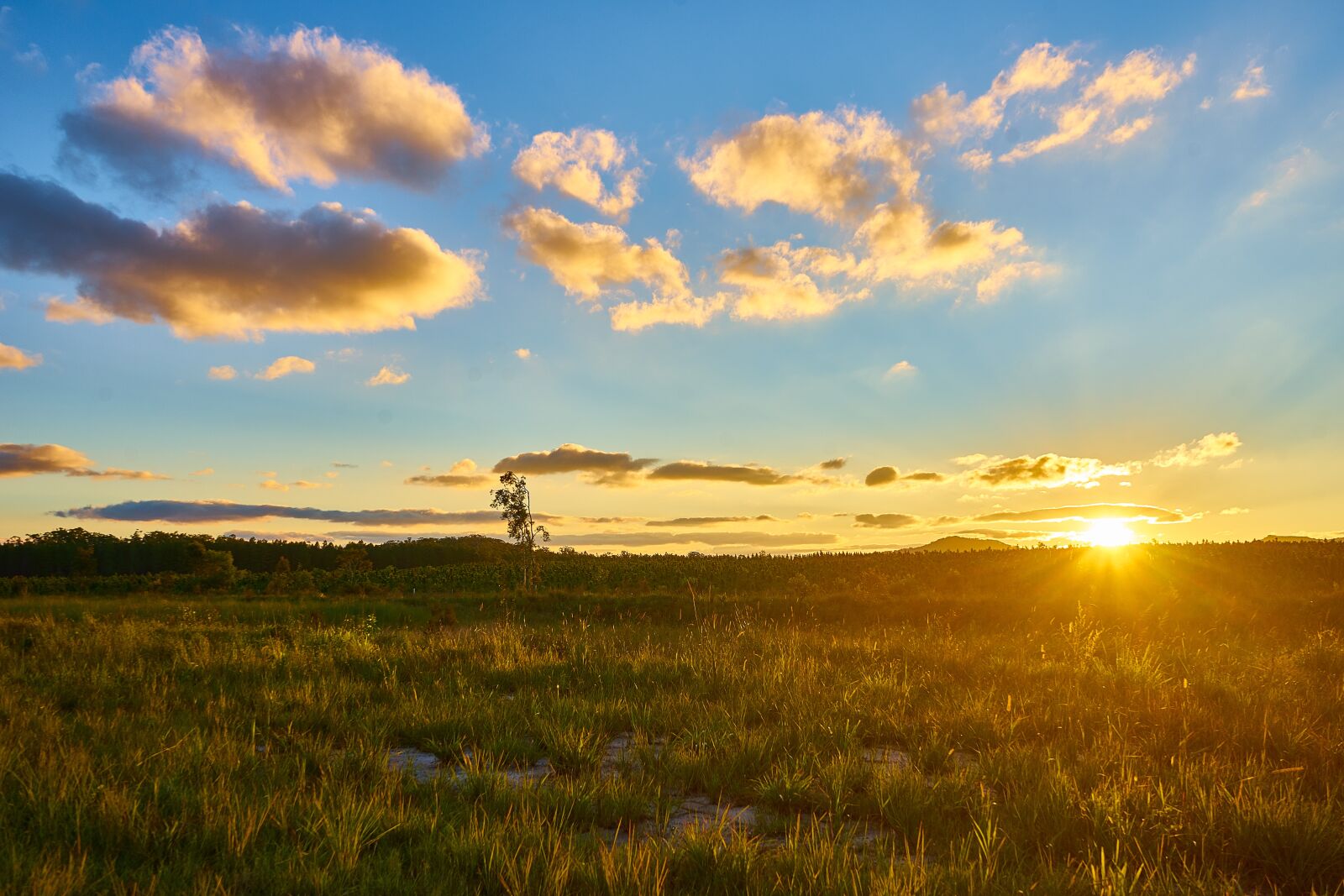 Sony a7 II sample photo. Landscape, sunset, australia photography