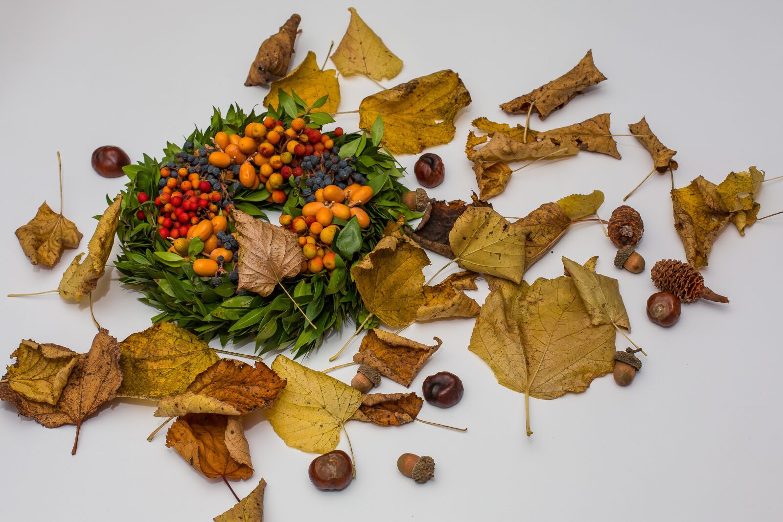 Canon EF 50mm F1.4 USM sample photo. Autumn, leaves, fall foliage photography