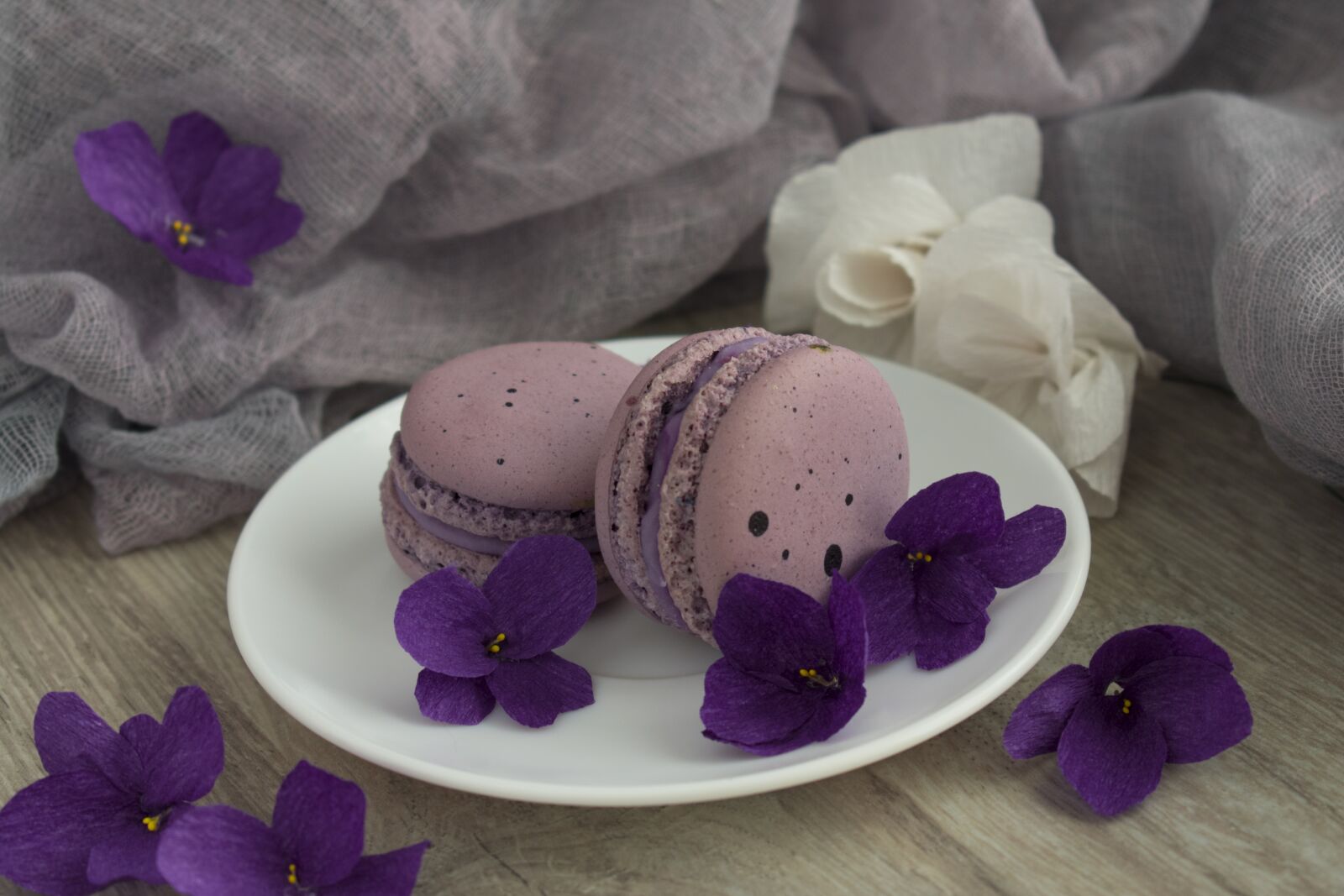 Nikon D3400 sample photo. Macaroons, macro, cookies photography