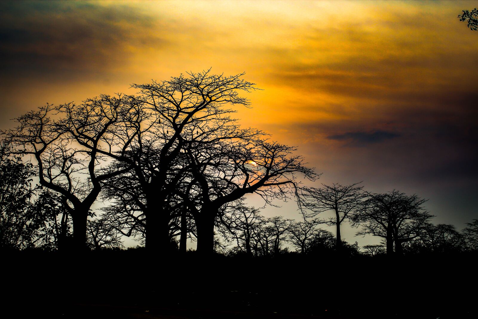 Canon EOS 600D (Rebel EOS T3i / EOS Kiss X5) sample photo. Sunset, nature, landscape photography