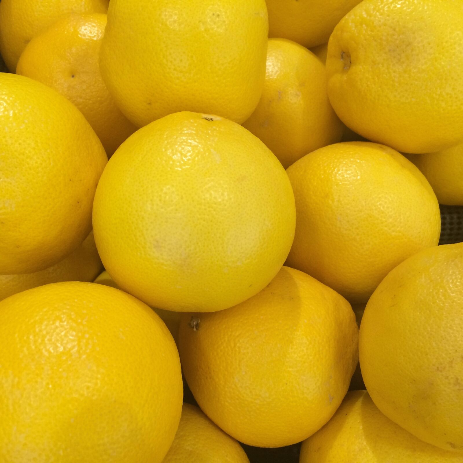 iPhone 5s back camera 4.15mm f/2.2 sample photo. Grapefruit, import, california photography