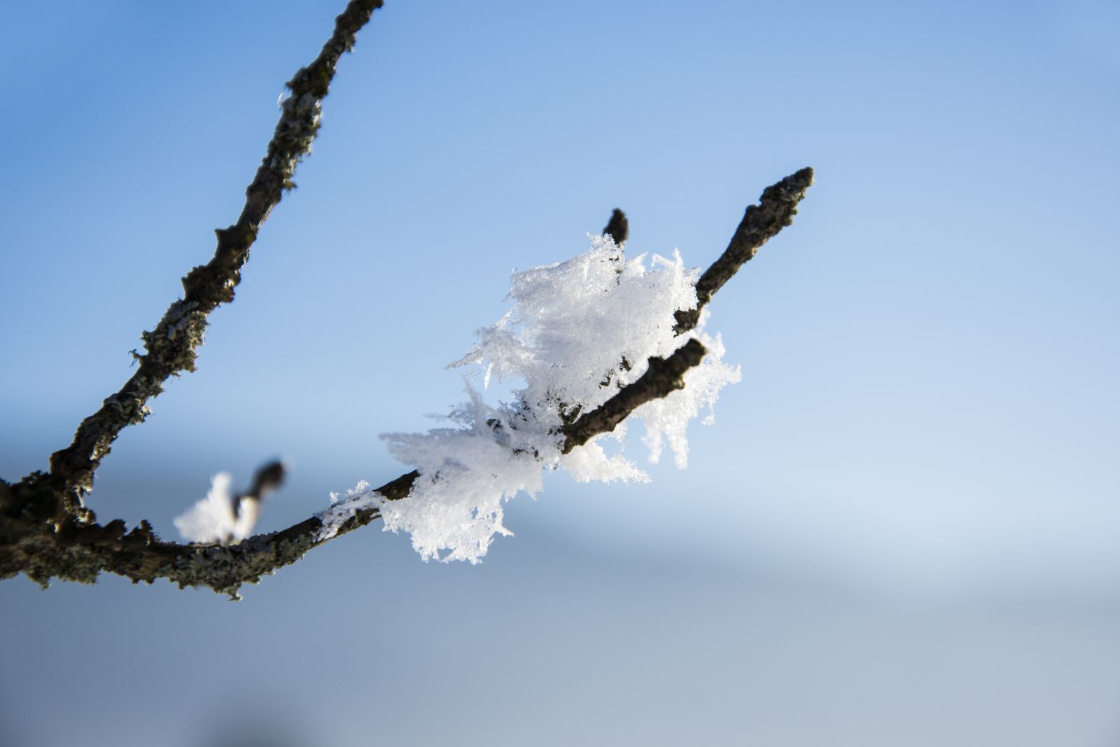 Nikon D7200 sample photo. Snow crystals, winter, macro photography