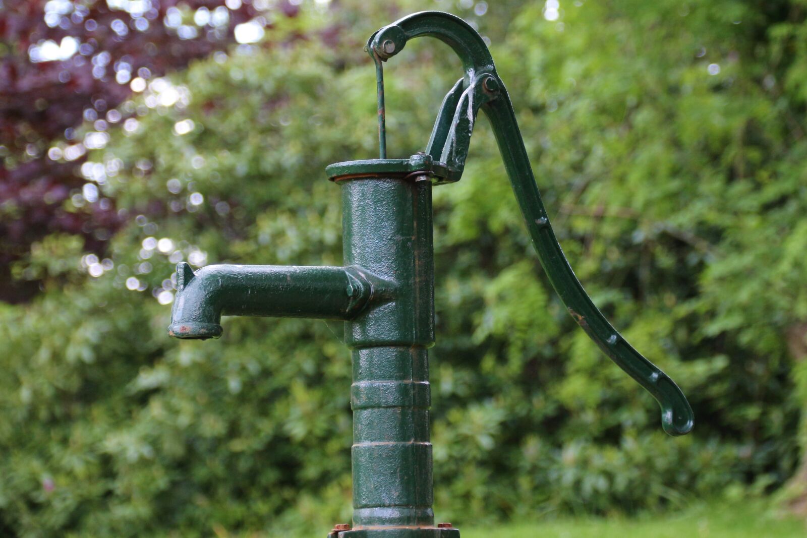 Canon EOS 700D (EOS Rebel T5i / EOS Kiss X7i) sample photo. Gargoyle, water, fountain photography
