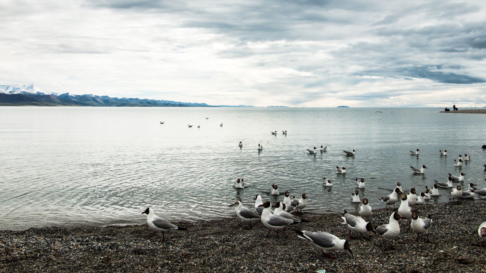 Canon EOS 70D sample photo. The scenery, tibet, the photography
