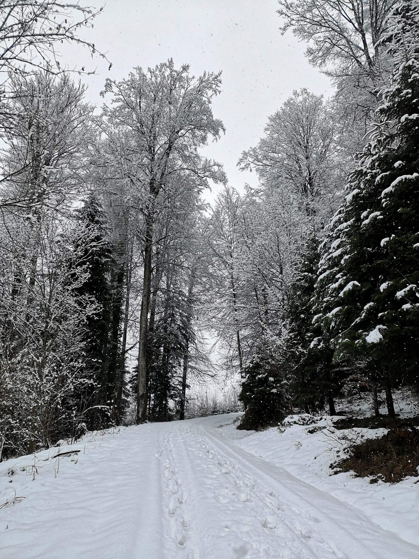 HUAWEI P20 sample photo. Winter, landscape, snow photography