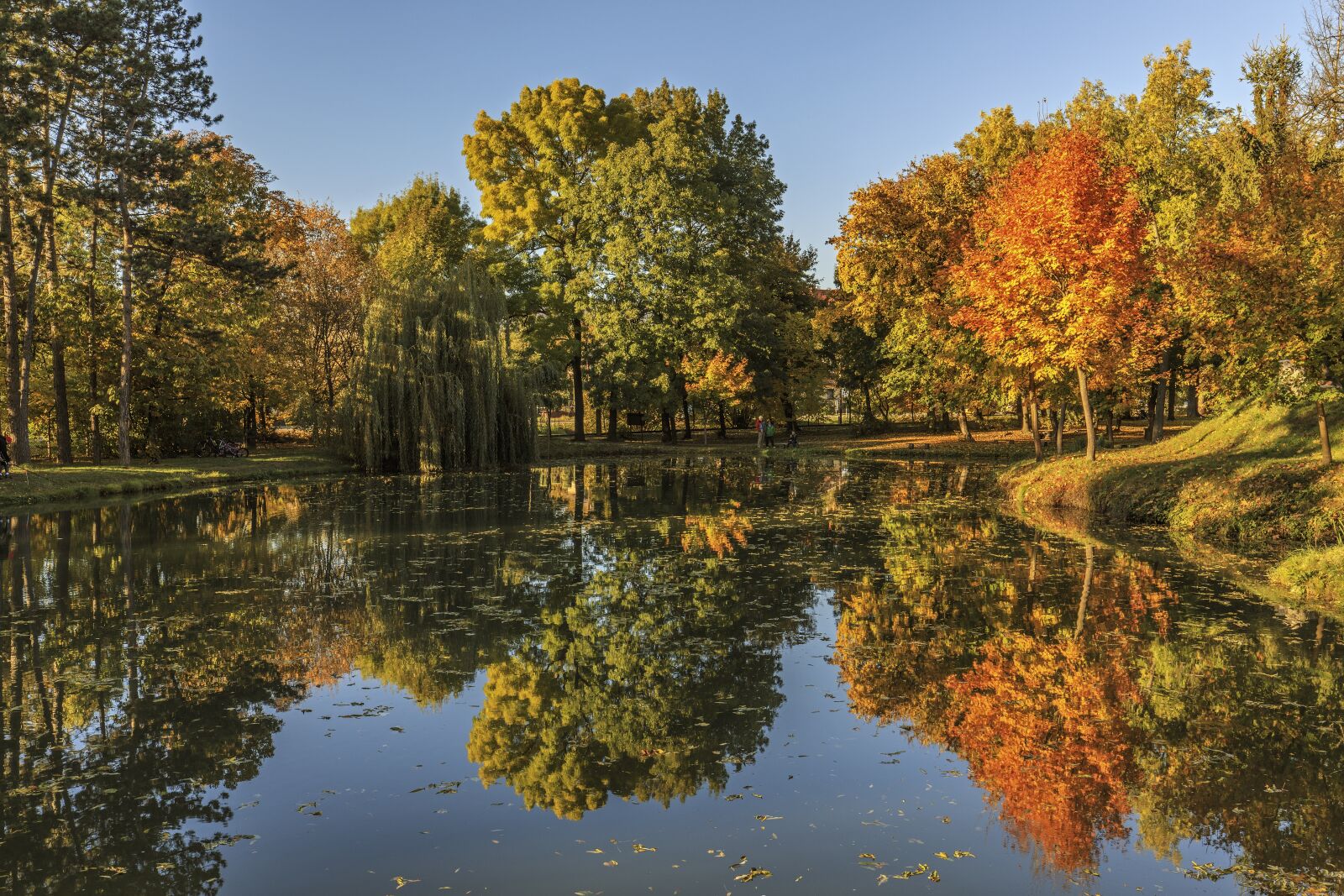 Canon EF 16-35mm F4L IS USM sample photo. Nature, autumn mood, autumn photography