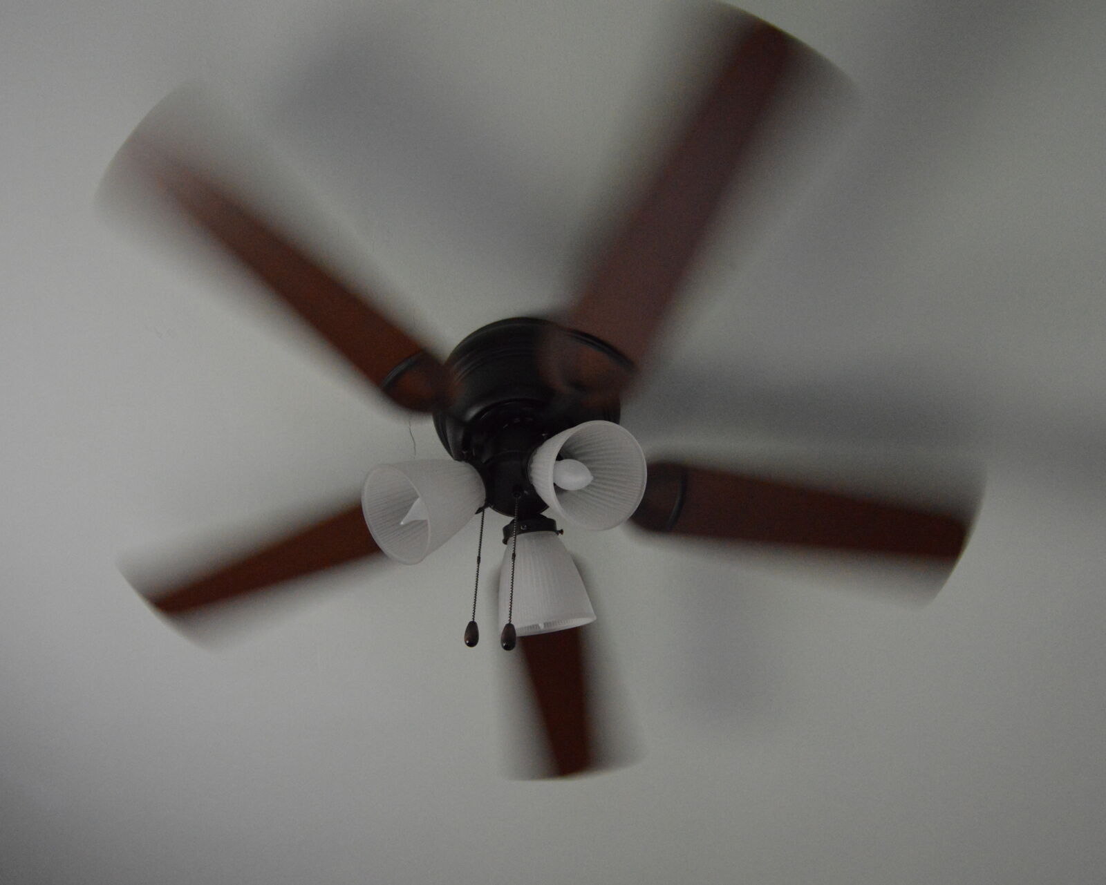 Nikon D3200 sample photo