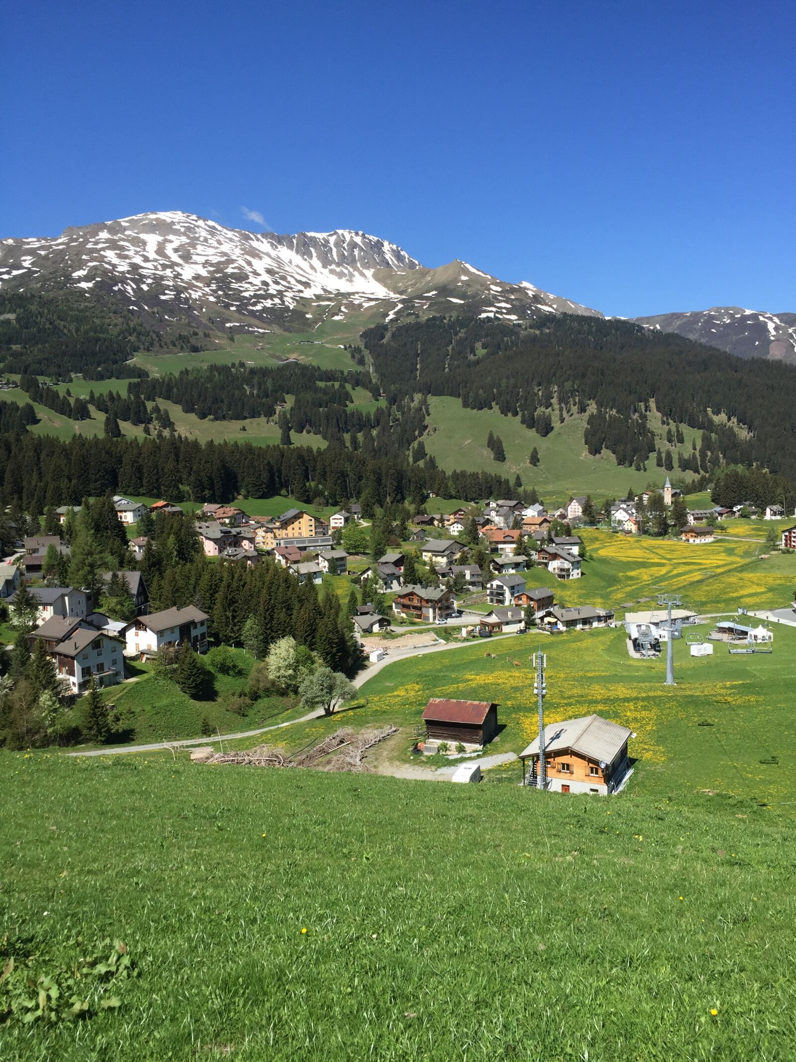 Apple iPhone 6 sample photo. Parpan, graubünden, switzerland photography