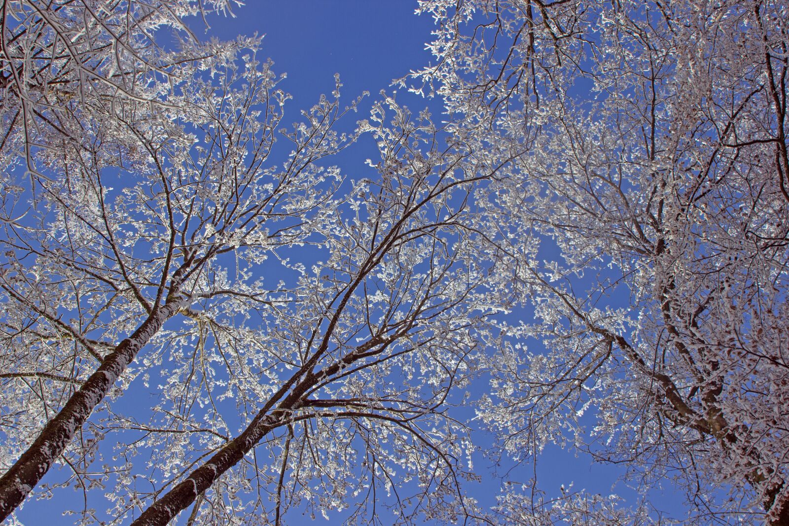 Canon EF 28-105mm f/3.5-4.5 USM sample photo. Sky, snow, aesthetic photography