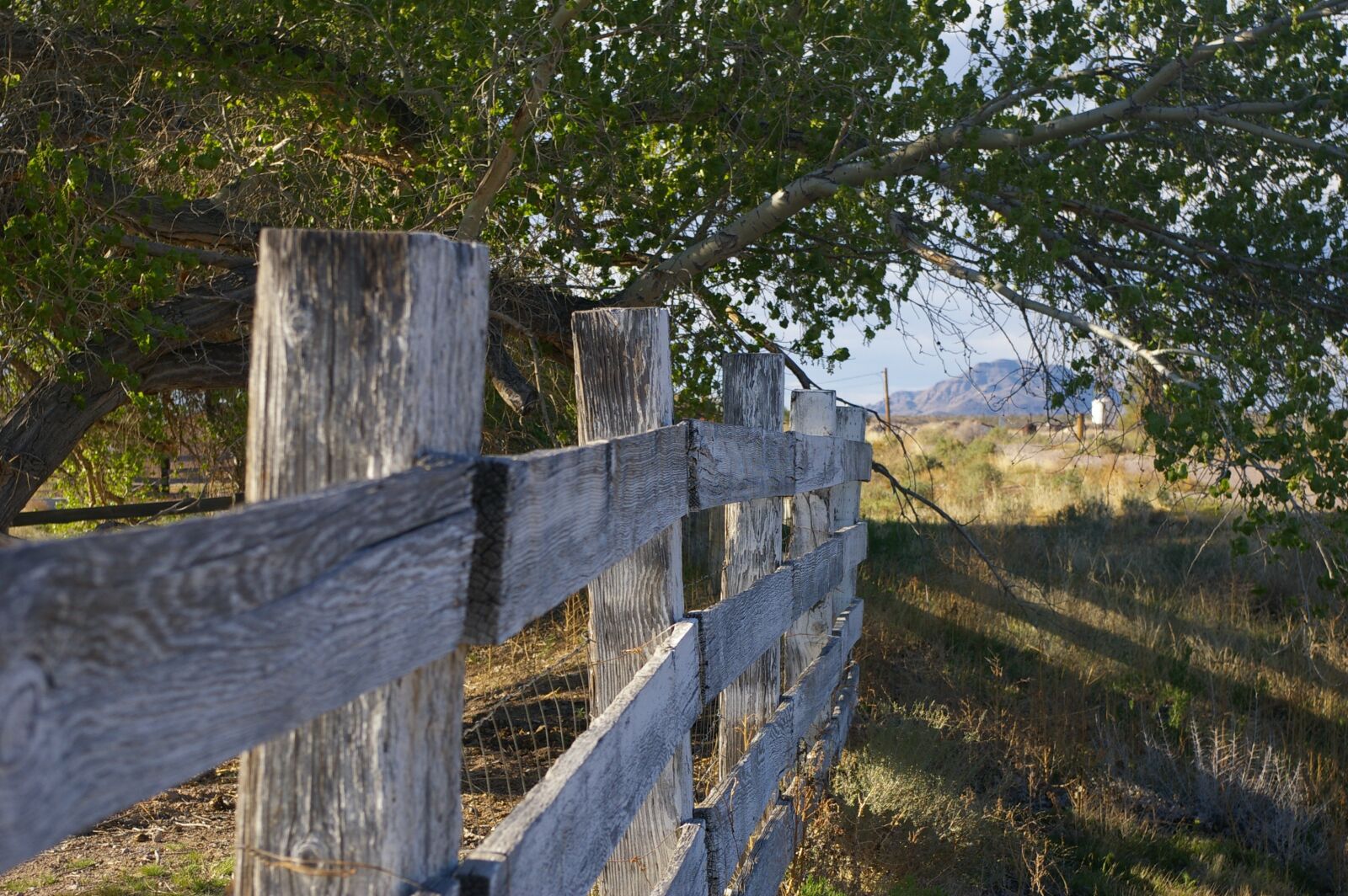 Pentax K100D Super sample photo. Fence, wood, wooden fence photography