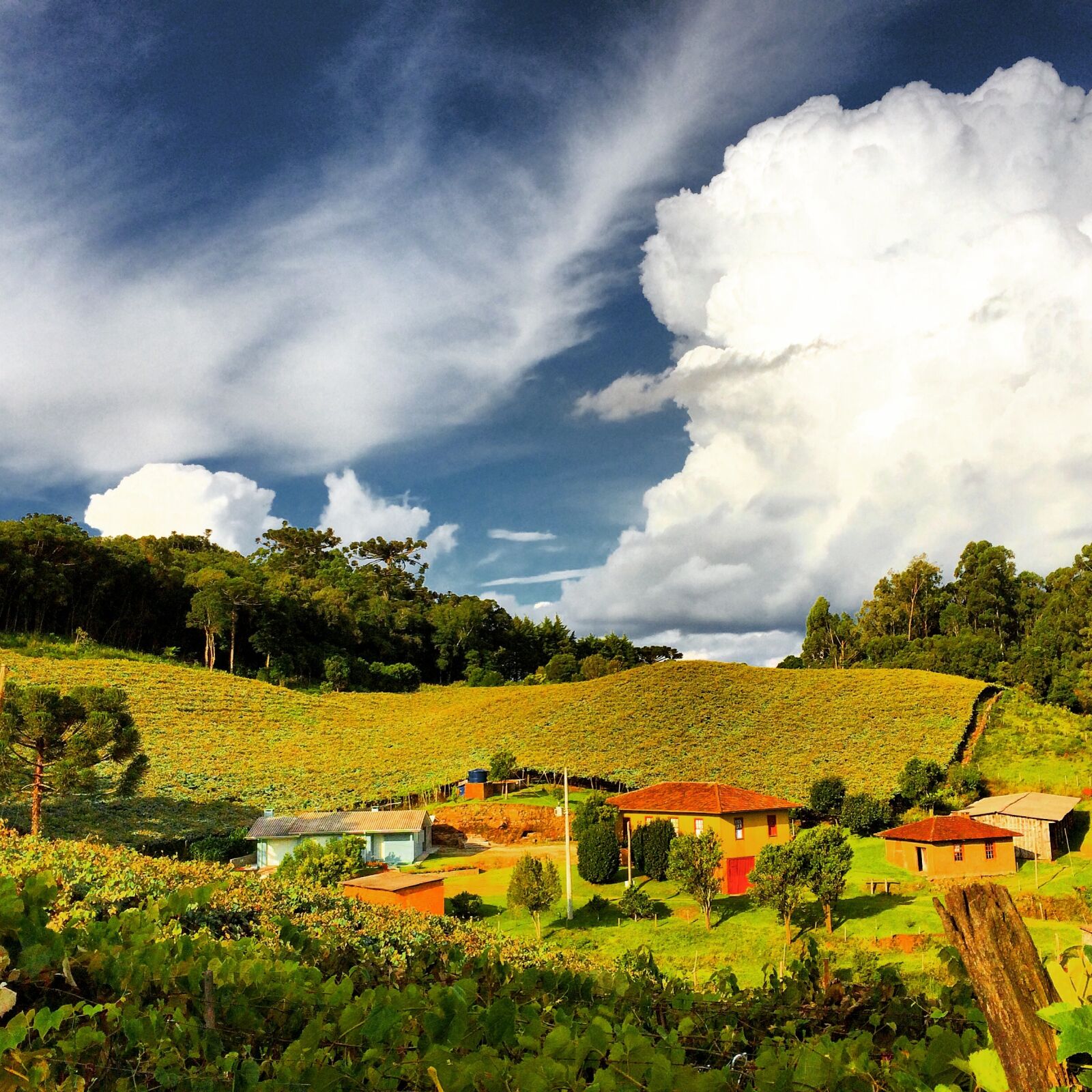 iPhone 5s back camera 4.15mm f/2.2 sample photo. Landscape, rural, brazil photography