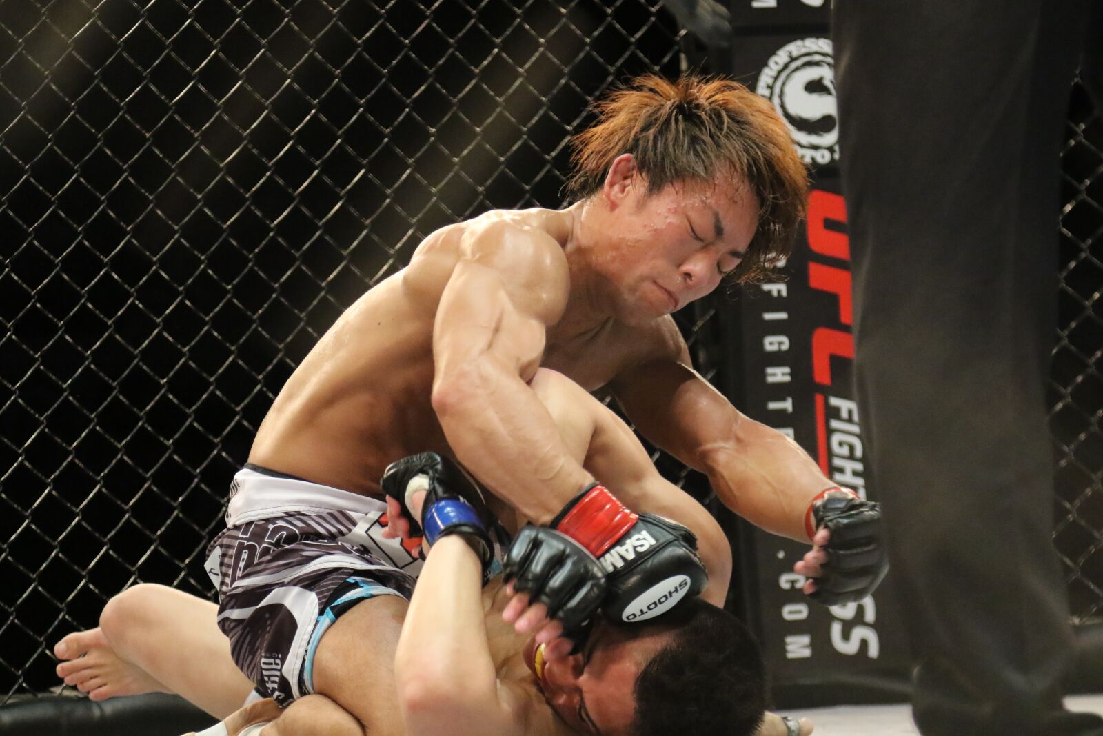 Canon EOS 7D Mark II sample photo. Mma, mixed martial arts photography