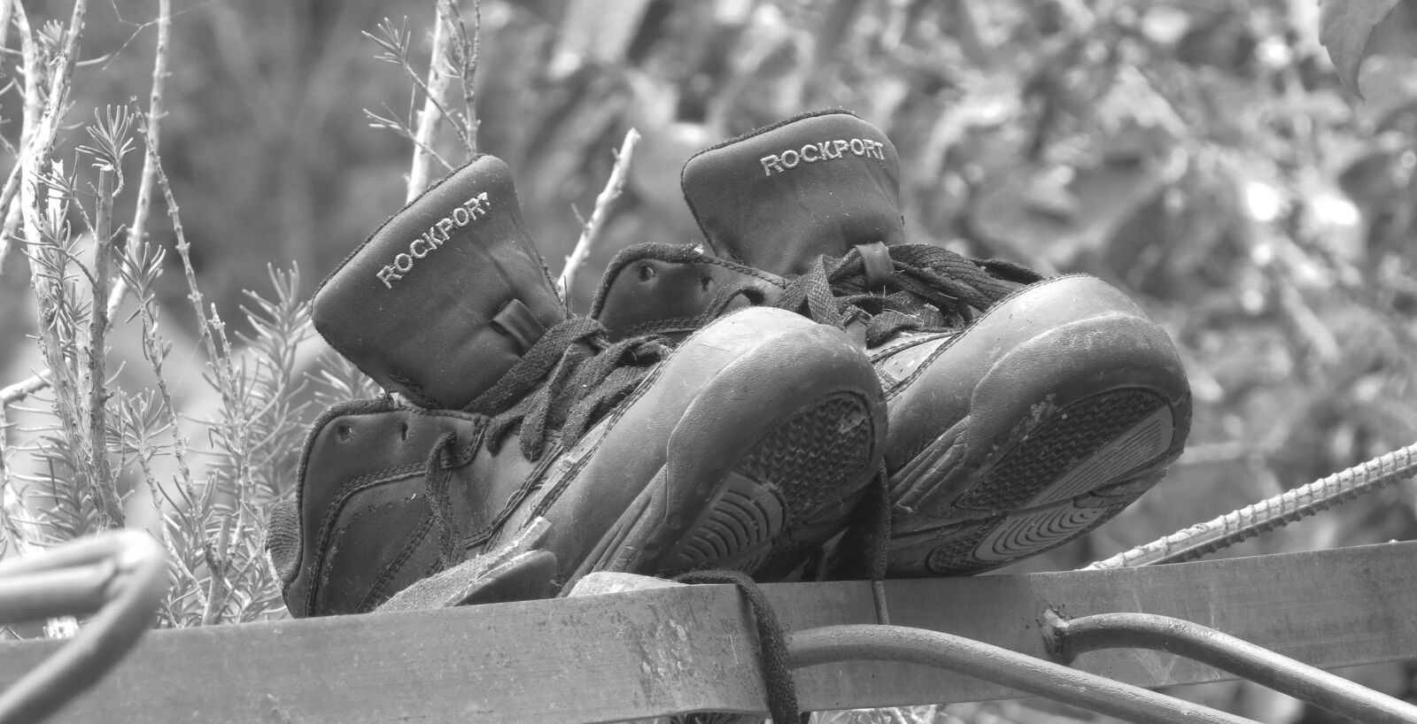Canon PowerShot SX50 HS sample photo. Black and white, old photography