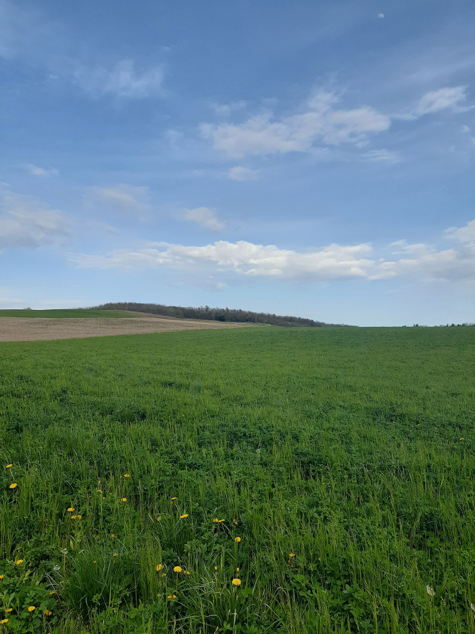 Samsung Galaxy A20 sample photo. Field, sky, landscape photography
