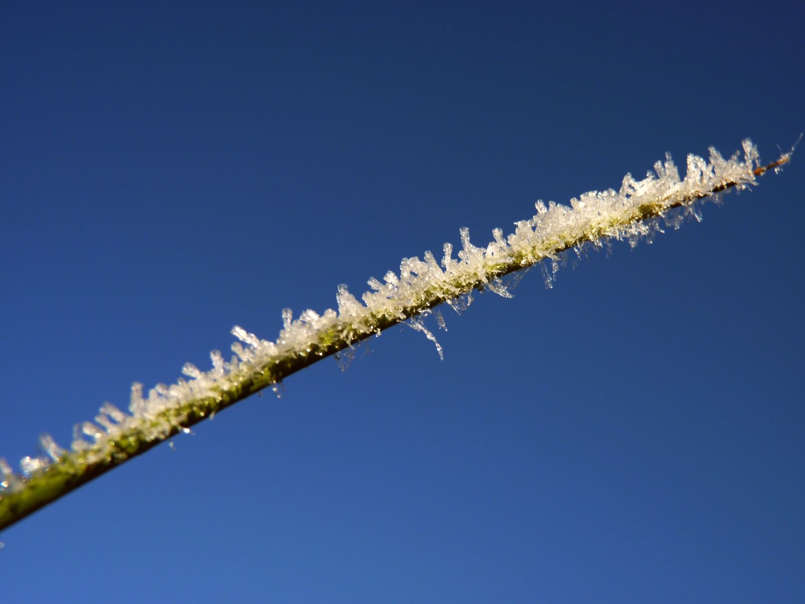 Panasonic Lumix DMC-FZ35 (Lumix DMC-FZ38) sample photo. Ice, crystals, blue photography