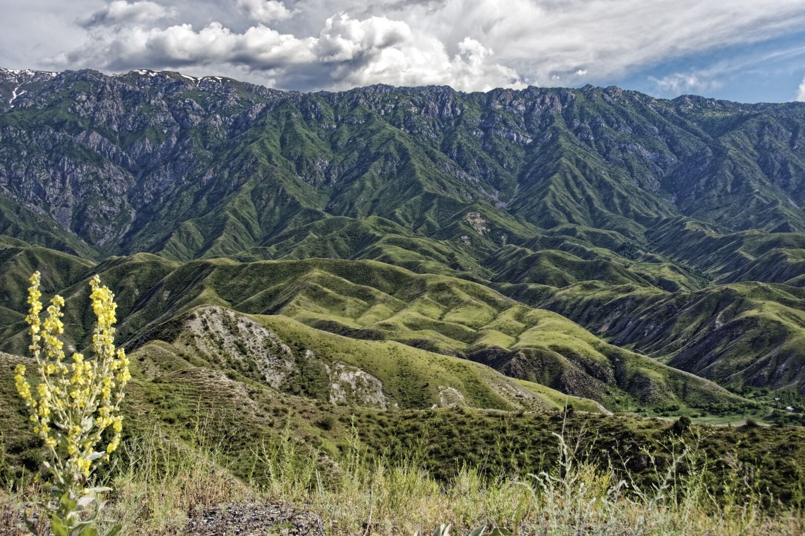 Nikon D500 sample photo. Kyrgyzstan, the ferghana mountains photography
