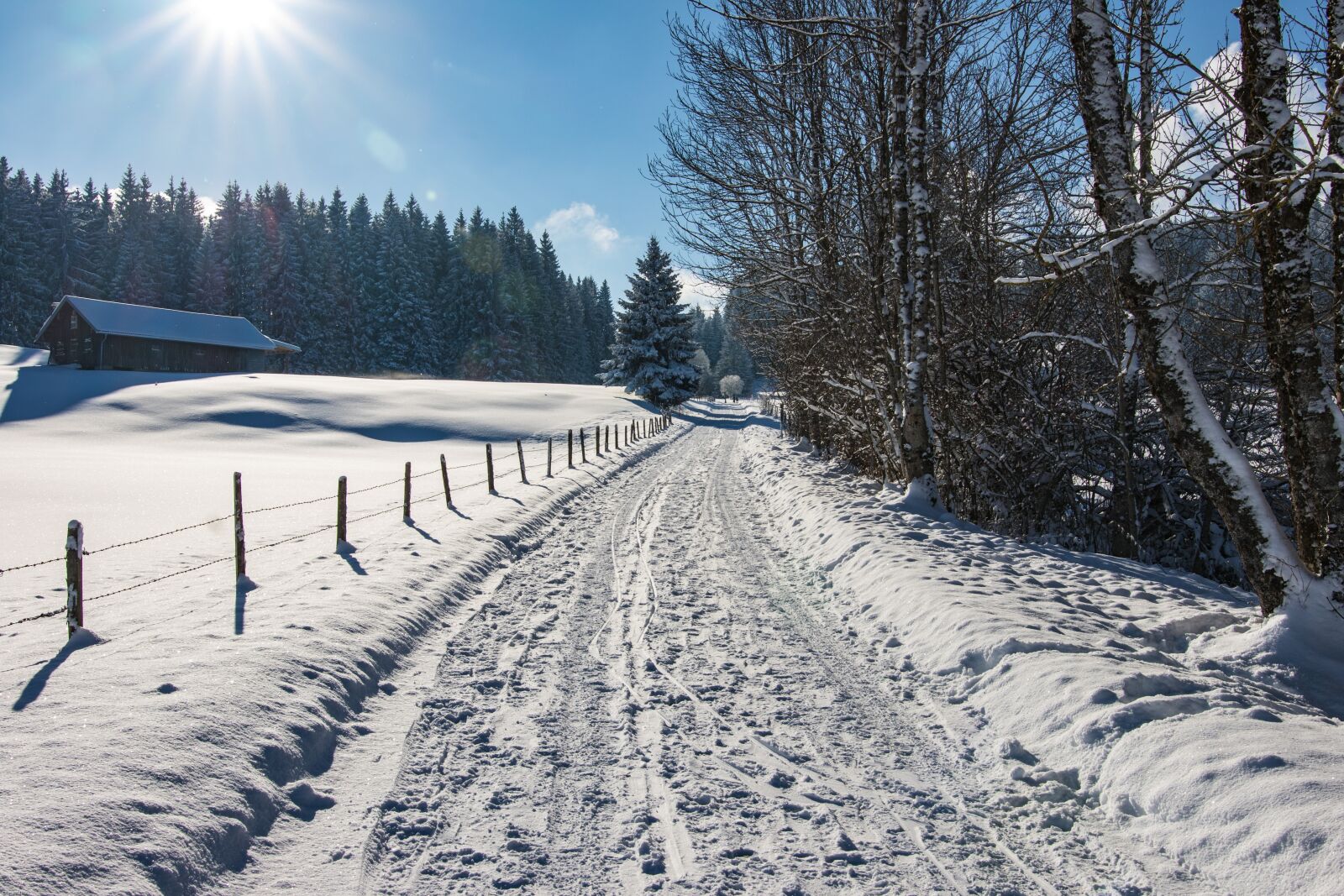 Canon EOS 7D Mark II sample photo. Winter, winter way, snow photography