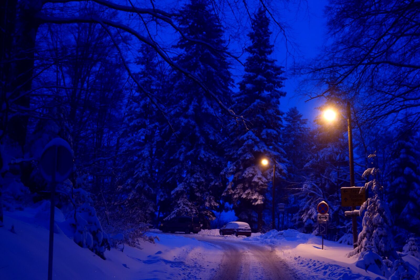 Sony Cyber-shot DSC-RX100 sample photo. Winter, snow, cold photography