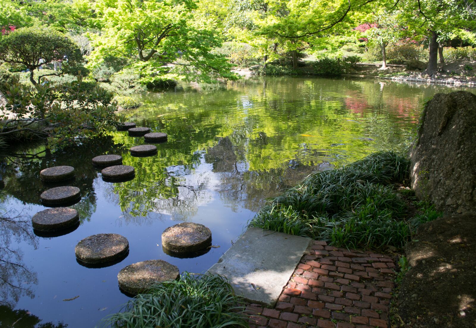 Nikon D3100 sample photo. Fort worth, texas, japan photography