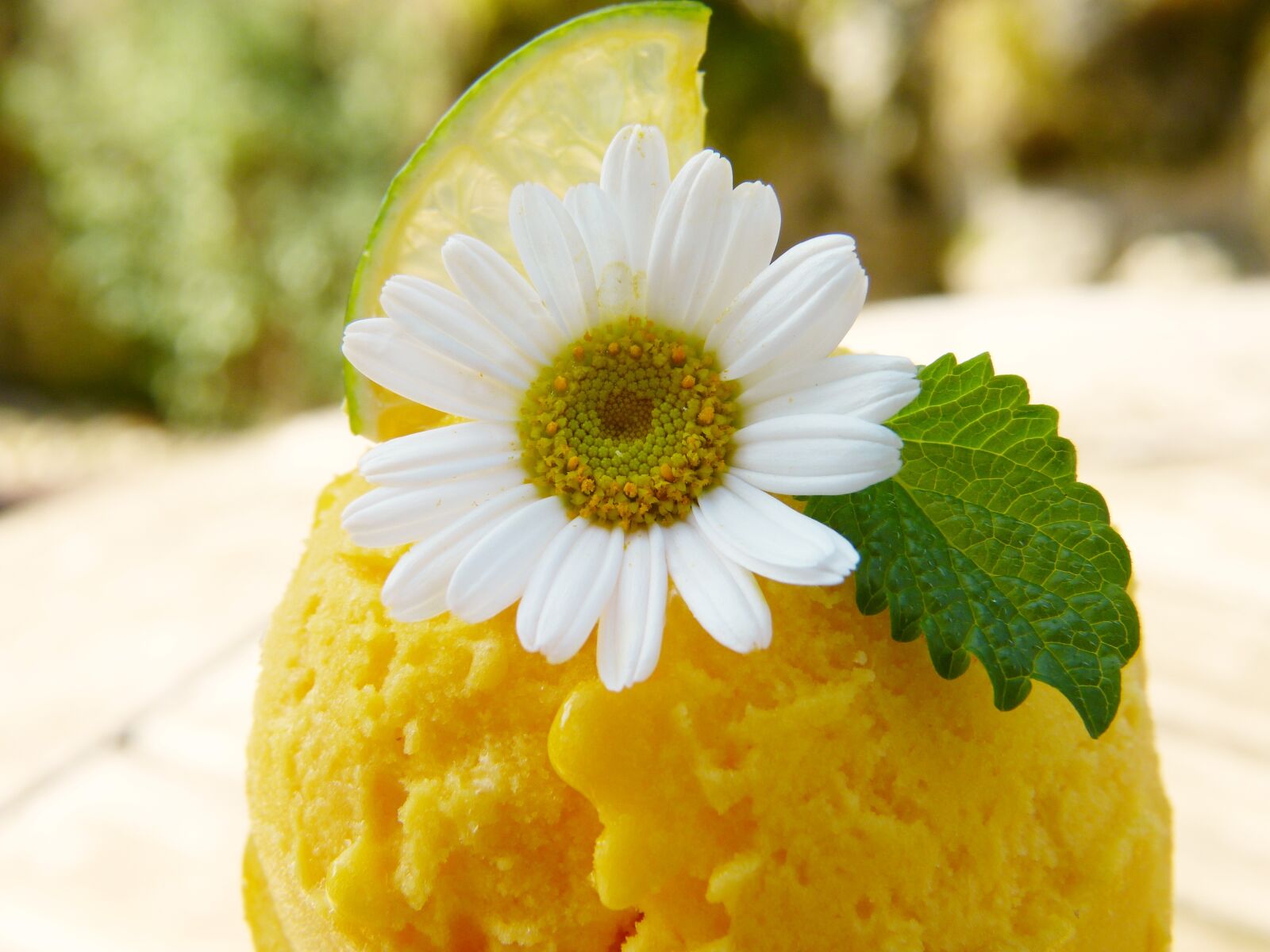 Panasonic Lumix DMC-FZ150 sample photo. Mango ice cream, fruit photography