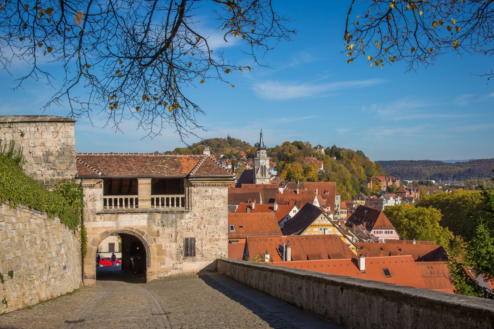 Canon EF 24-105mm F4L IS USM sample photo. T bingen, castle hohent photography