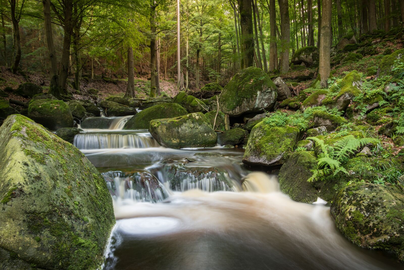 Nikon D7200 sample photo. Waterfall, long exposure, bach photography