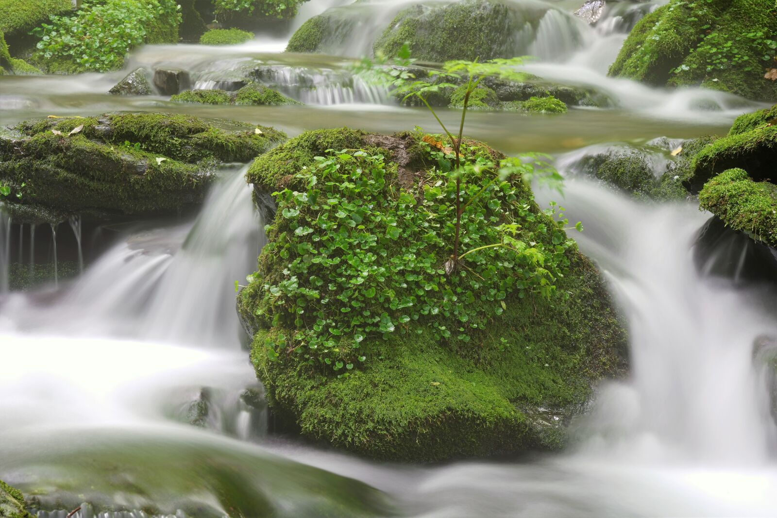 Sony FE 24-105mm F4 G OSS sample photo. Brook, water, clean photography