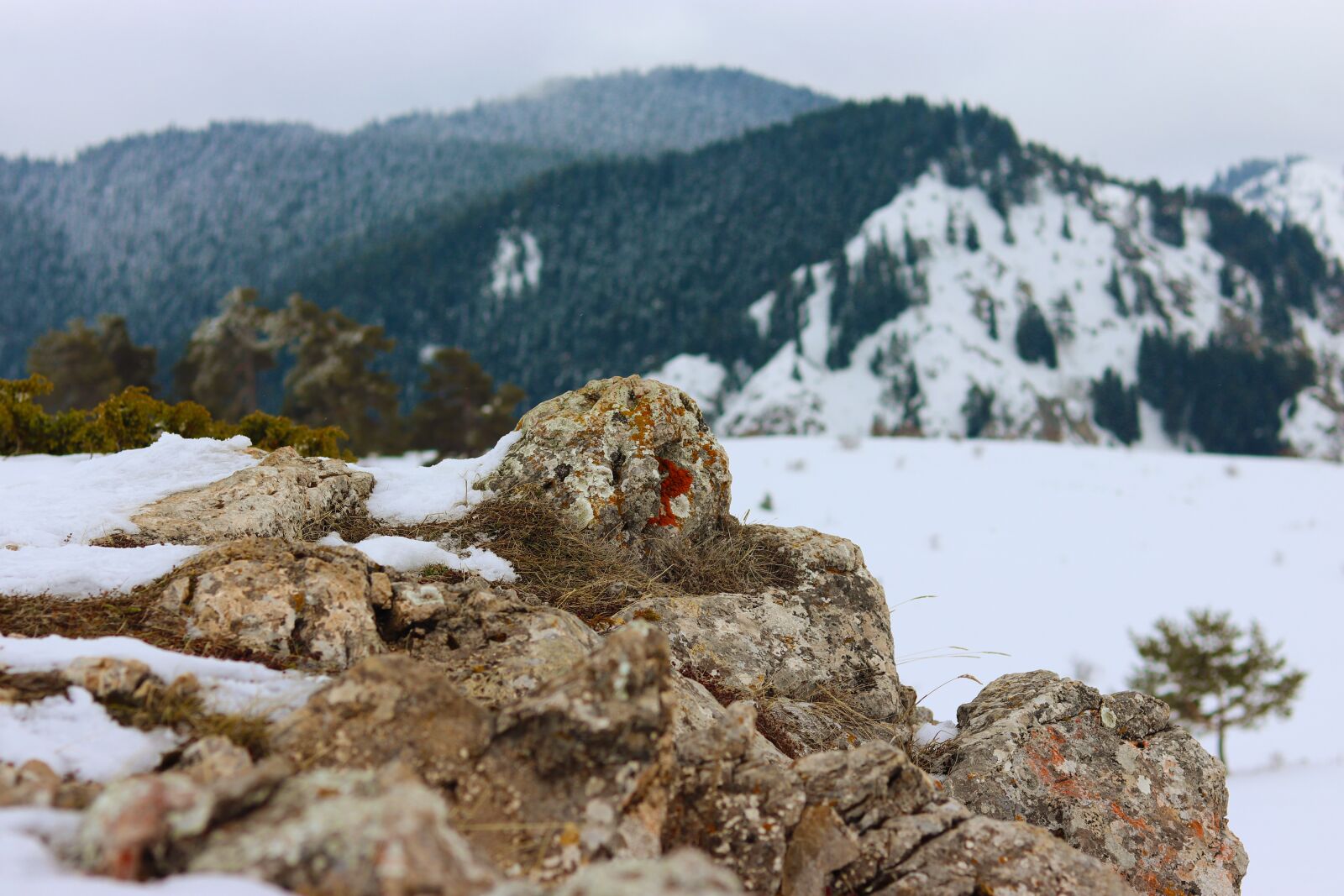 Canon EOS 77D (EOS 9000D / EOS 770D) + Canon EF 50mm F1.8 STM sample photo. Rock, red, mountain photography